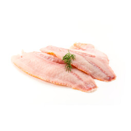 Fish Tilapia Fillet Sample